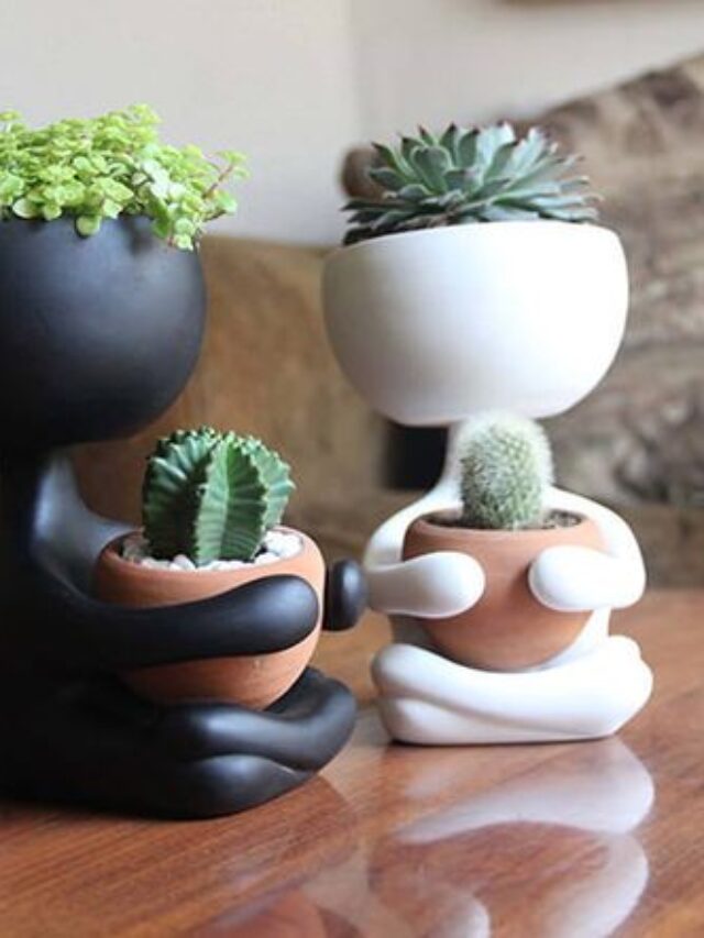 Aprenda: Arte de Decorar sua casa com Plantas, Como Usar Vasos e Jardins de Forma Criativa